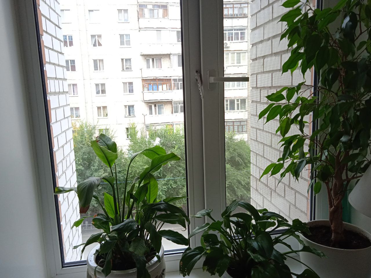 https://ryazan.delaem-okna.ru/storage/app/uploads/public/63f/332/8c0/63f3328c0d6f7867060515.jpg